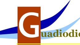 LOGO GUADIODIEL